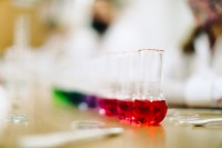 /album/fotodokumentacia-od-matky-z-cukru/vynimocneskoly-dovalova-15-male-jpg/